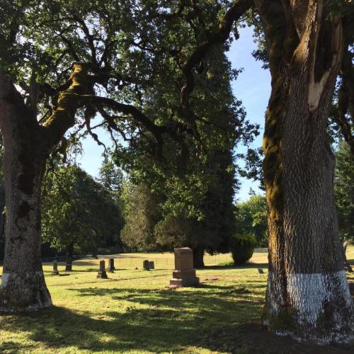 3. Location: Twin Oaks Cemetery, Turner, Oregon. Image: A view of headstones between the titular twin oaks of the cemetery.