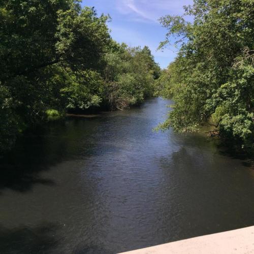 23: Mill Creek with brushy trees on either side and a small triangle of blue sky meeting the receding point of the creek.