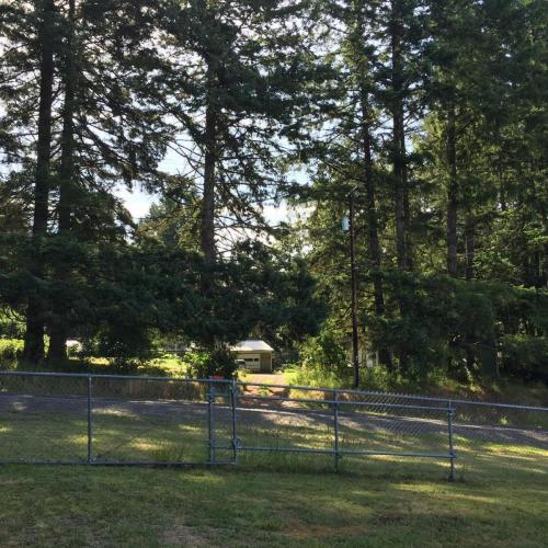 5. Location: Twin Oaks Cemetery, Turner, Oregon. Image: a view into trees across the road from the cemetery. Through the trees can be seen a building.